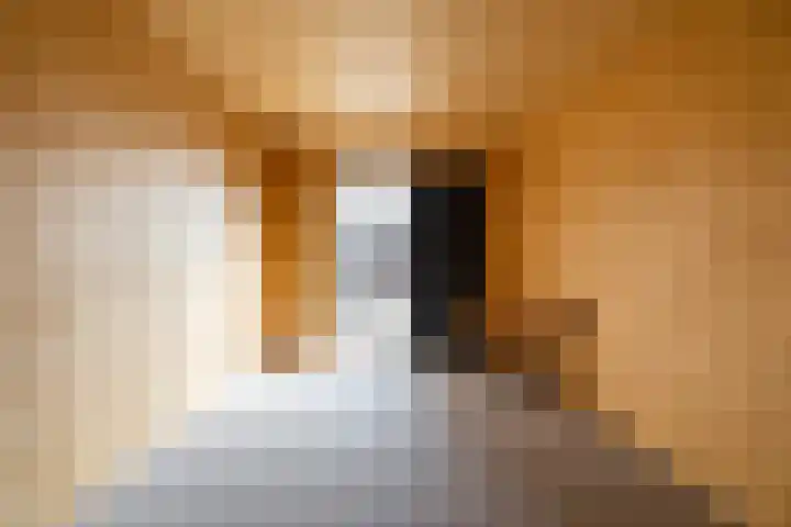 Hoofdweg 41 Harkstede thumbnail 32
