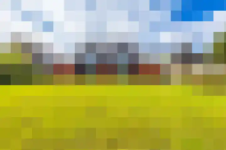 Hoofdweg 41 Harkstede thumbnail 34