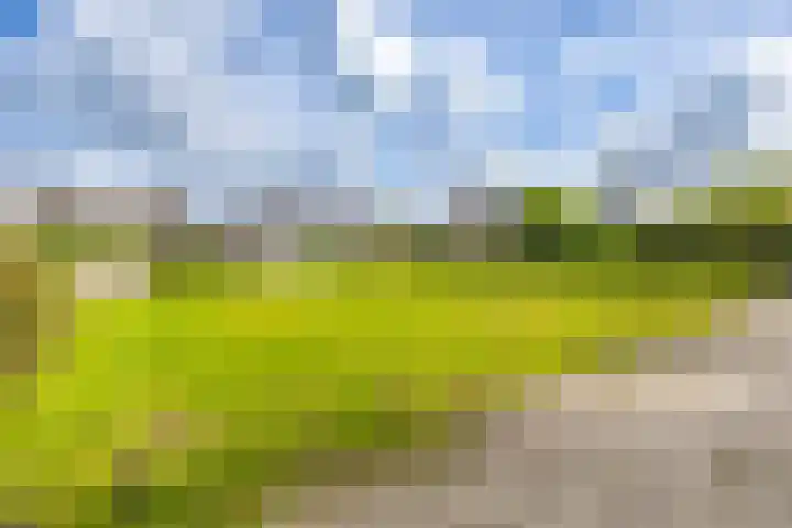 Hoofdweg 41 Harkstede thumbnail 36
