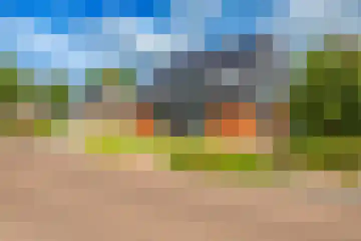 Hoofdweg 41 Harkstede thumbnail 6