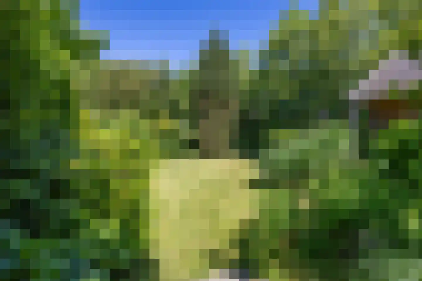 Hoofdweg 41 Slochteren thumbnail 68