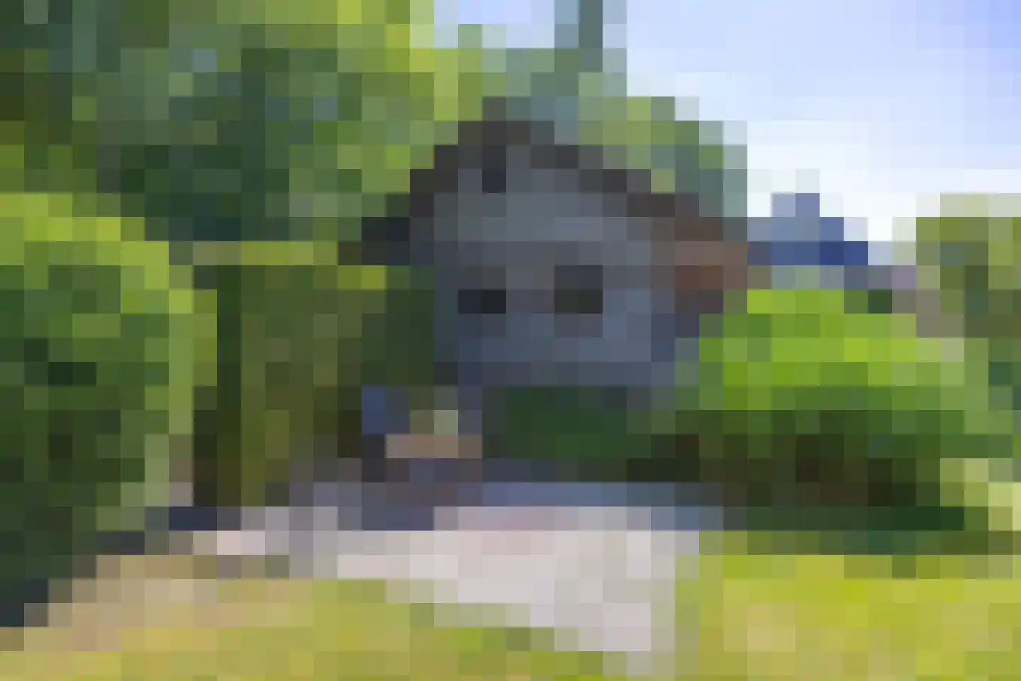 Hoofdweg 41 Slochteren thumbnail 73
