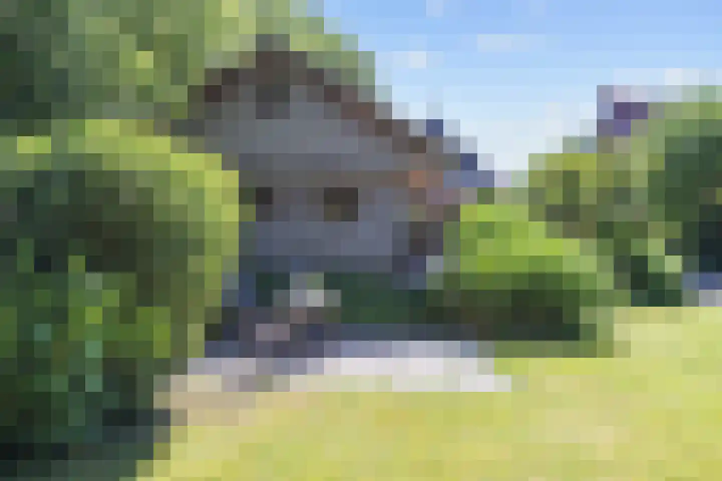 Hoofdweg 41 Slochteren thumbnail 81