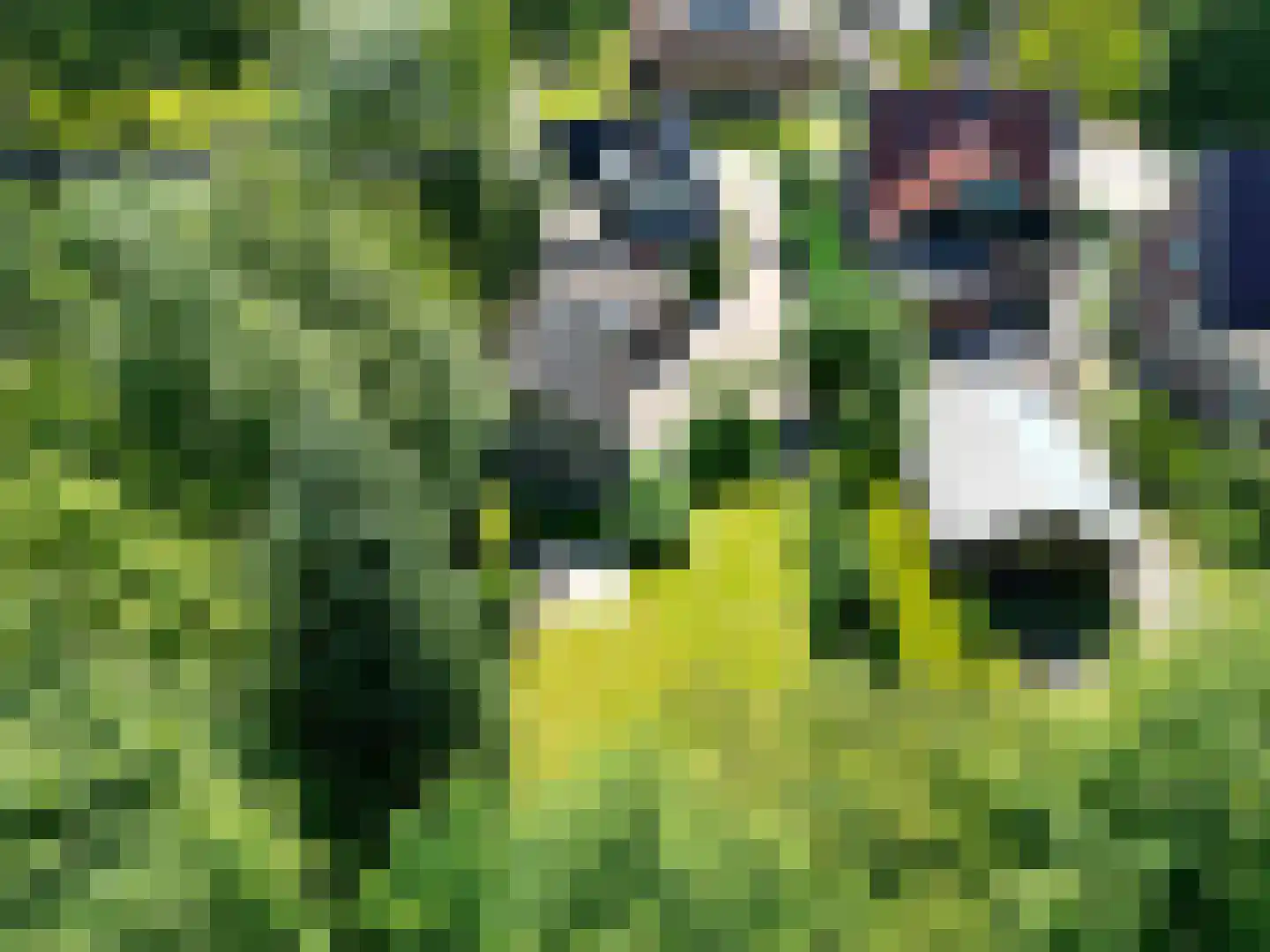 Hoofdweg 41 Slochteren thumbnail 84