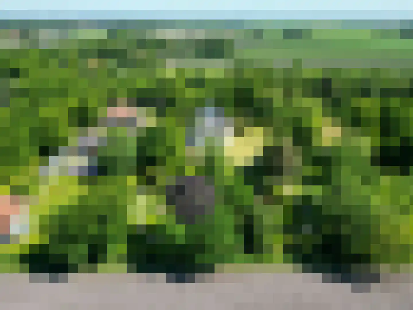Hoofdweg 41 Slochteren thumbnail 86
