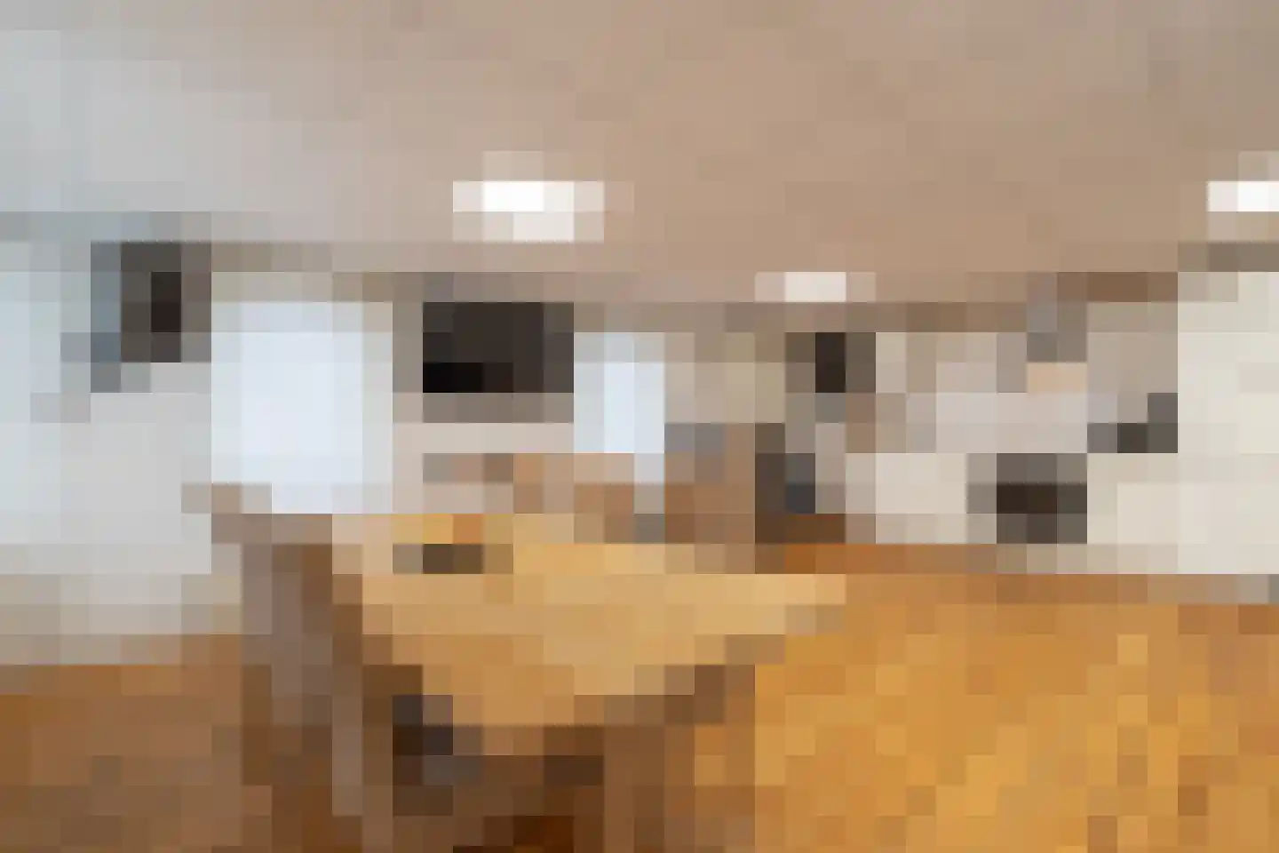 Hoofdweg 41 't Waar thumbnail 15
