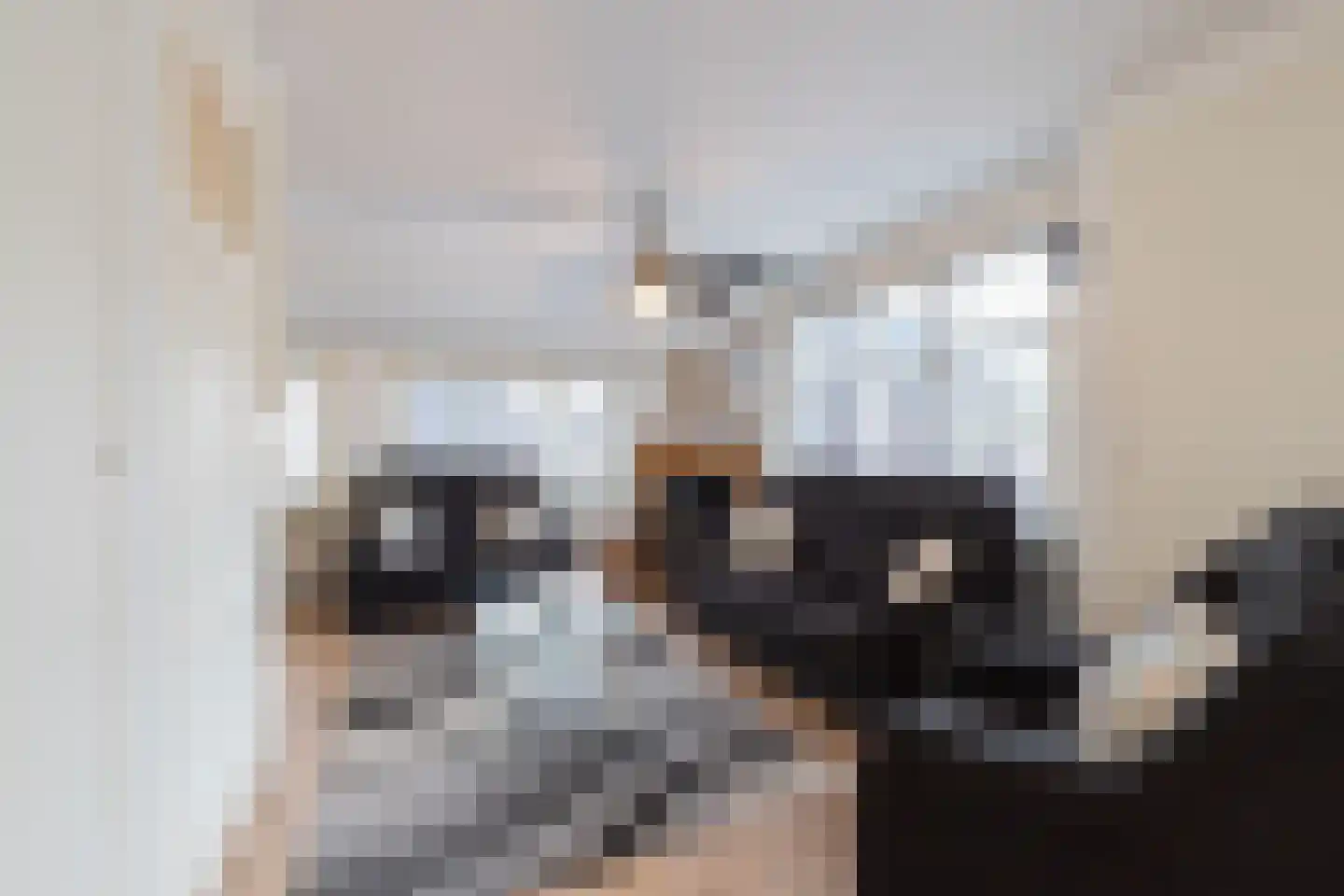 Hoofdweg 41 't Waar thumbnail 19