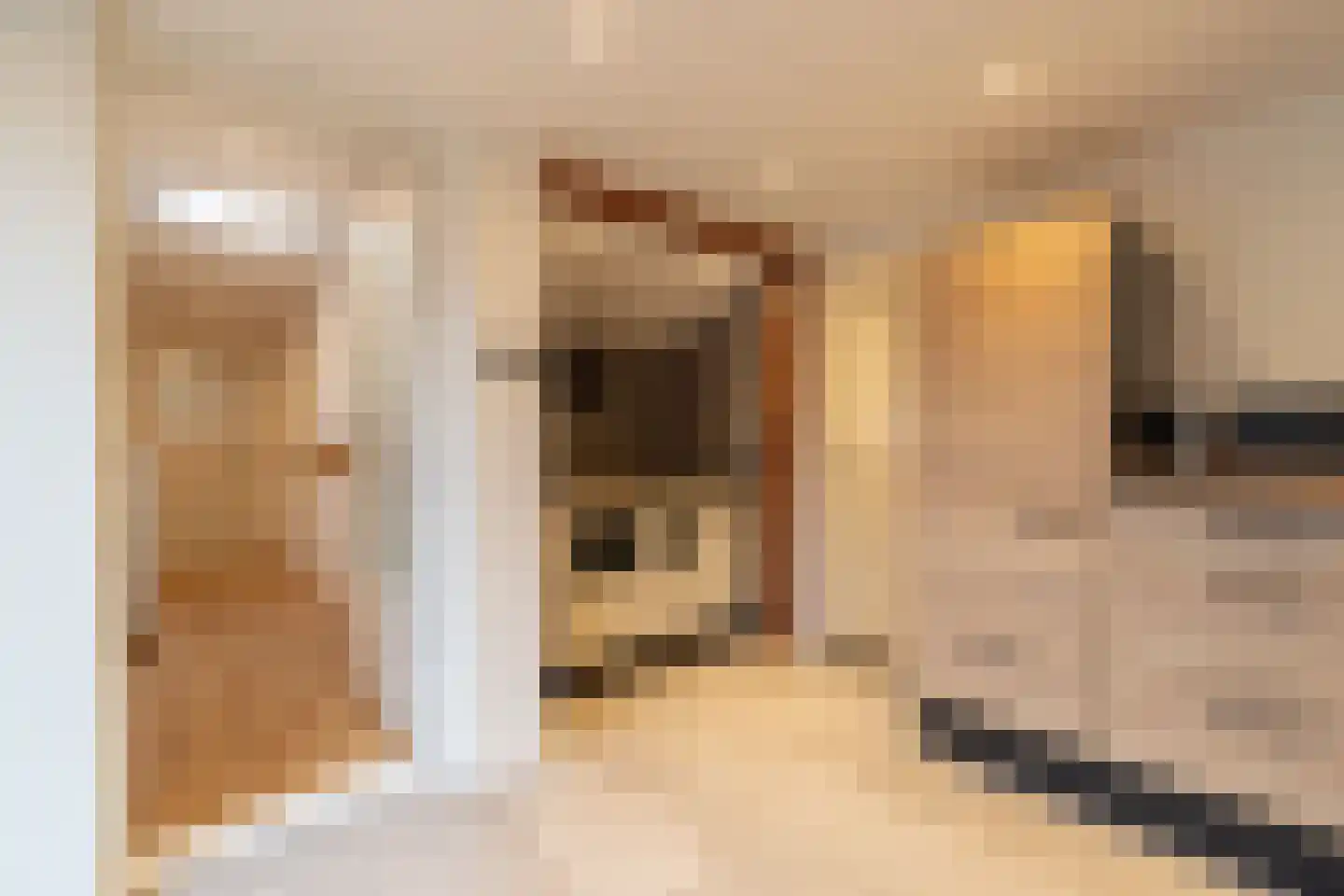 Hoofdweg 41 't Waar thumbnail 27