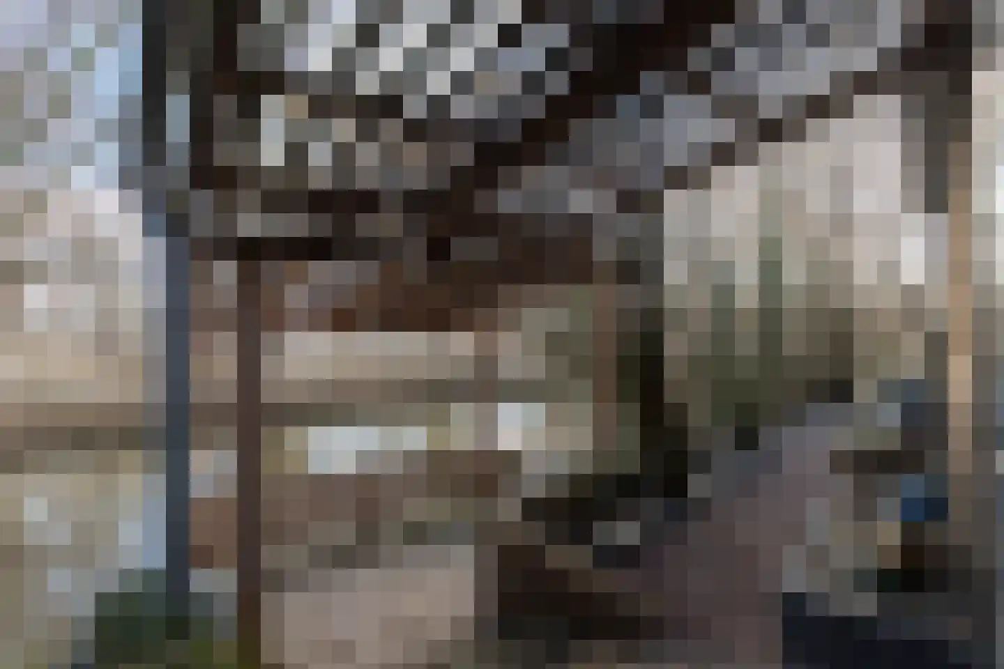 Hoofdweg 41 't Waar thumbnail 49