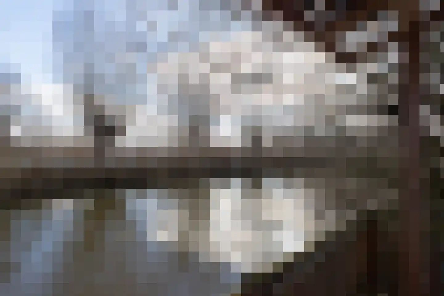 Hoofdweg 41 't Waar thumbnail 50