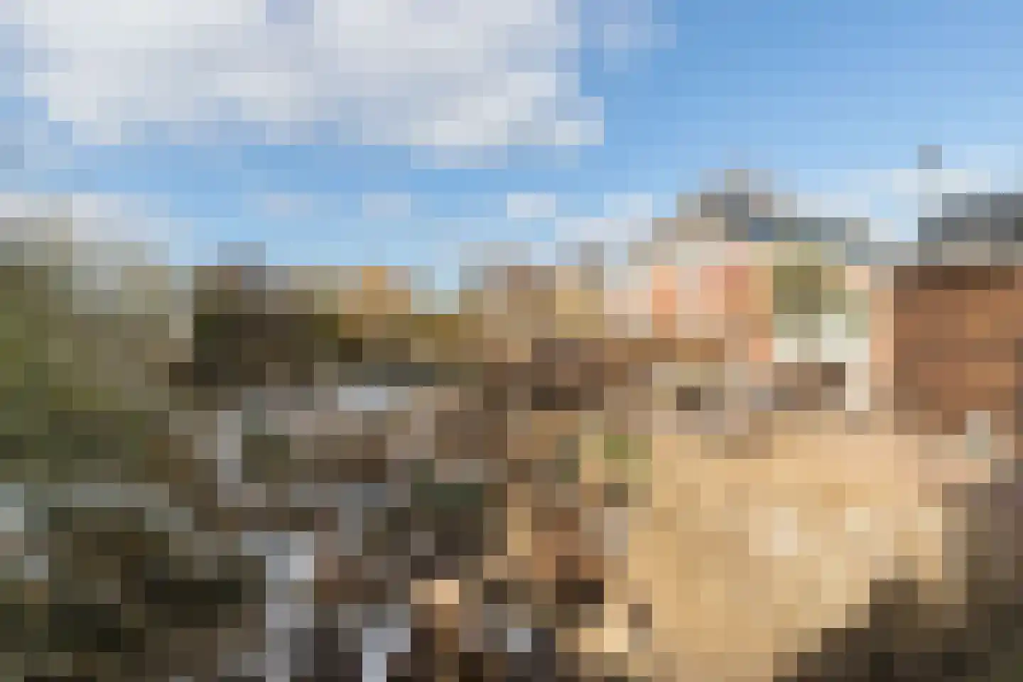 Hoofdweg 41 't Waar thumbnail 51