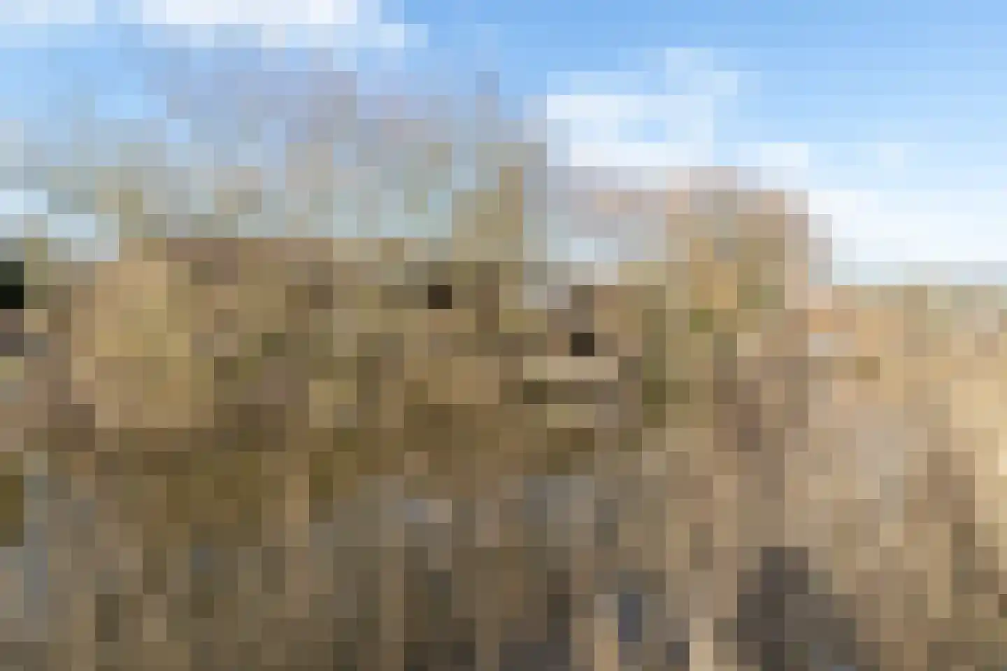 Hoofdweg 41 't Waar thumbnail 55