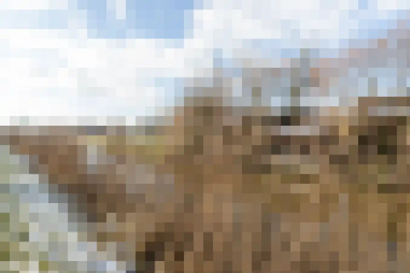 Hoofdweg 41 't Waar thumbnail 56