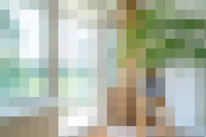 Hoofdweg 412 Paterswolde thumbnail 12