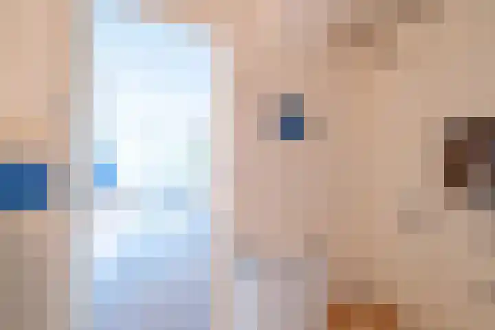 Hoofdweg 412 Paterswolde thumbnail 18