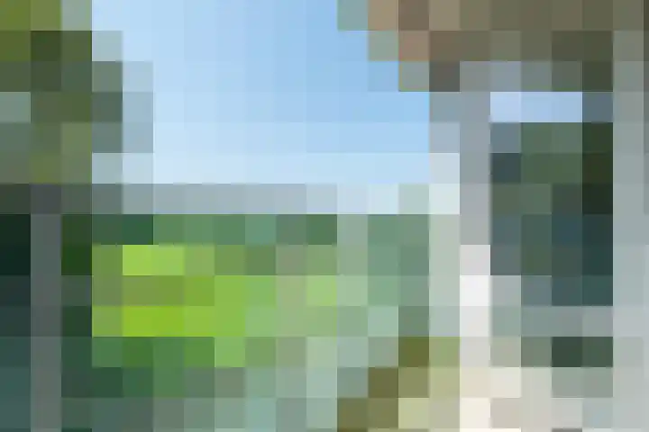 Hoofdweg 412 Paterswolde thumbnail 30
