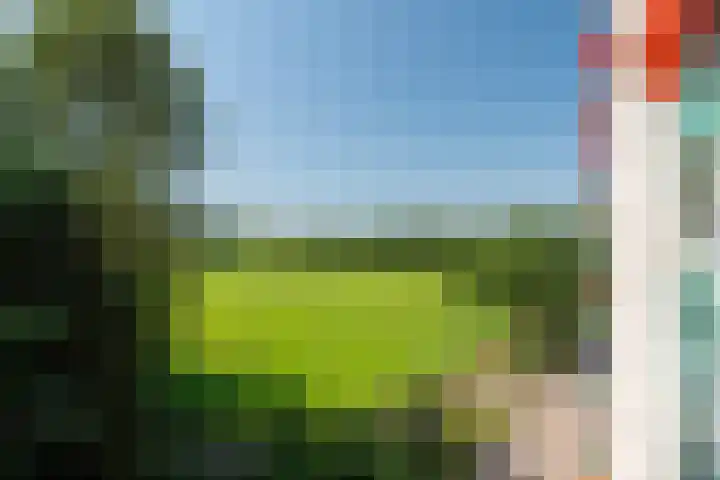 Hoofdweg 412 Paterswolde thumbnail 31