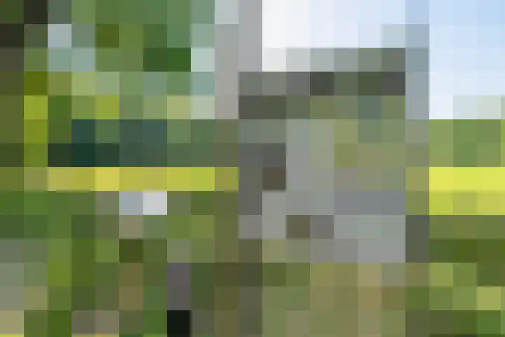 Hoofdweg 412 Paterswolde thumbnail 40