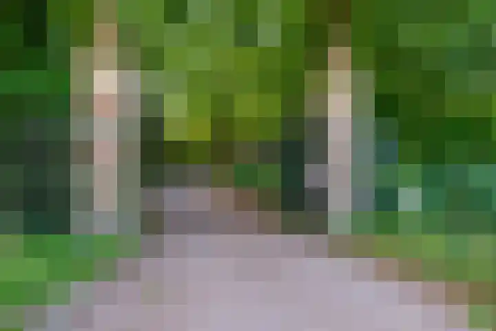 Hoofdweg 412 Paterswolde thumbnail 41