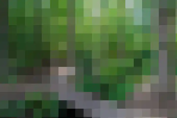 Hoofdweg 412 Paterswolde thumbnail 42