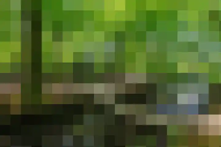 Hoofdweg 412 Paterswolde thumbnail 43
