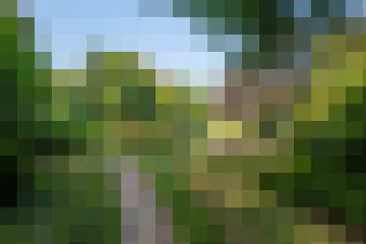 Hoofdweg 412 Paterswolde thumbnail 44
