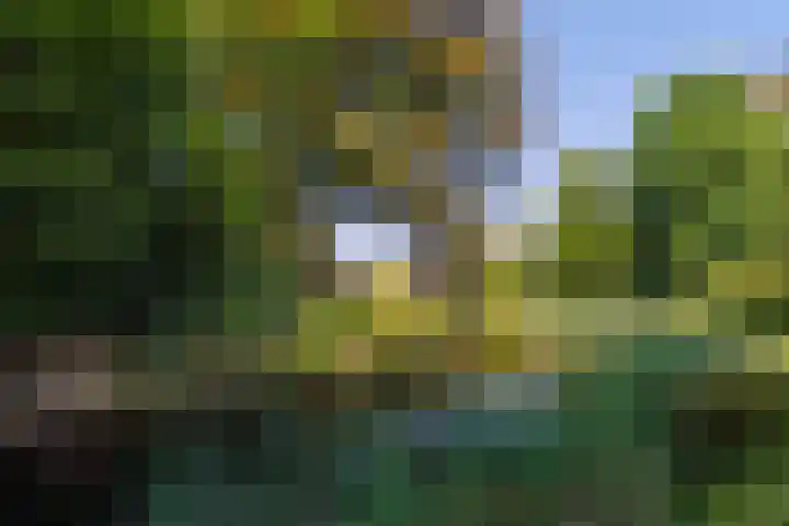 Hoofdweg 412 Paterswolde thumbnail 45