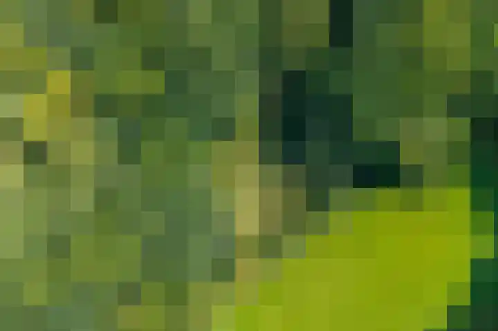 Hoofdweg 412 Paterswolde thumbnail 48
