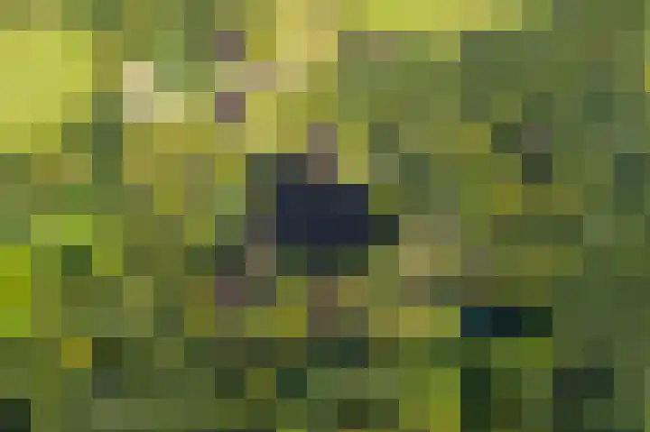 Hoofdweg 412 Paterswolde thumbnail 49