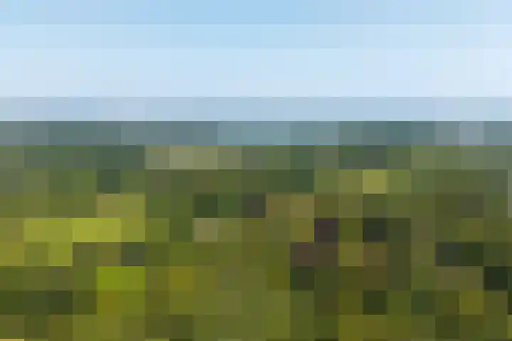 Hoofdweg 412 Paterswolde thumbnail 50
