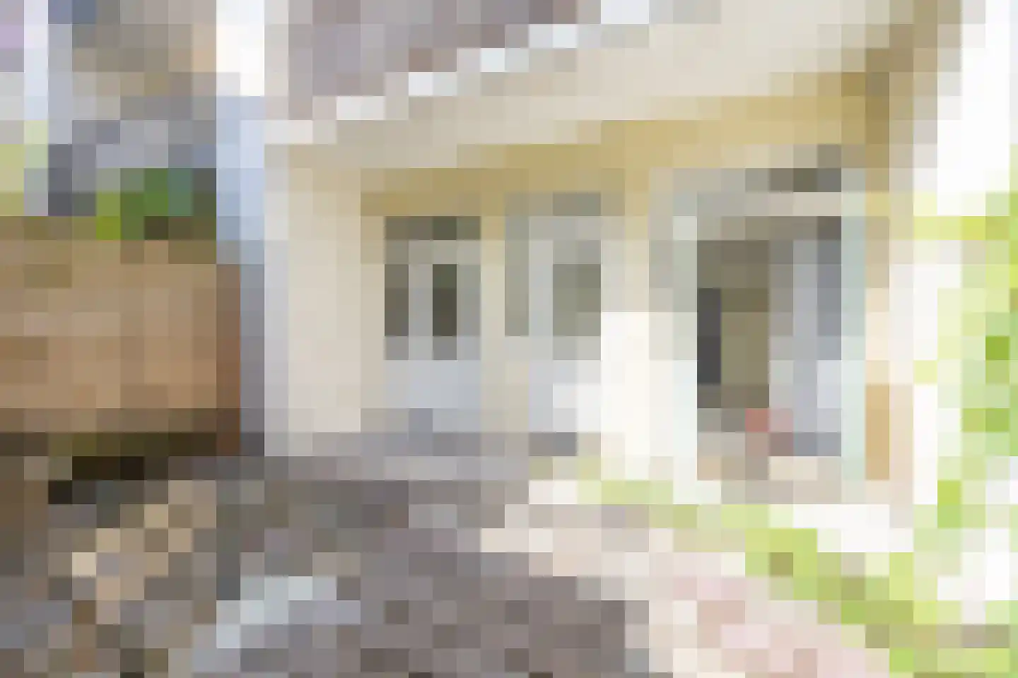 Hoofdweg 416 H Amsterdam thumbnail 20