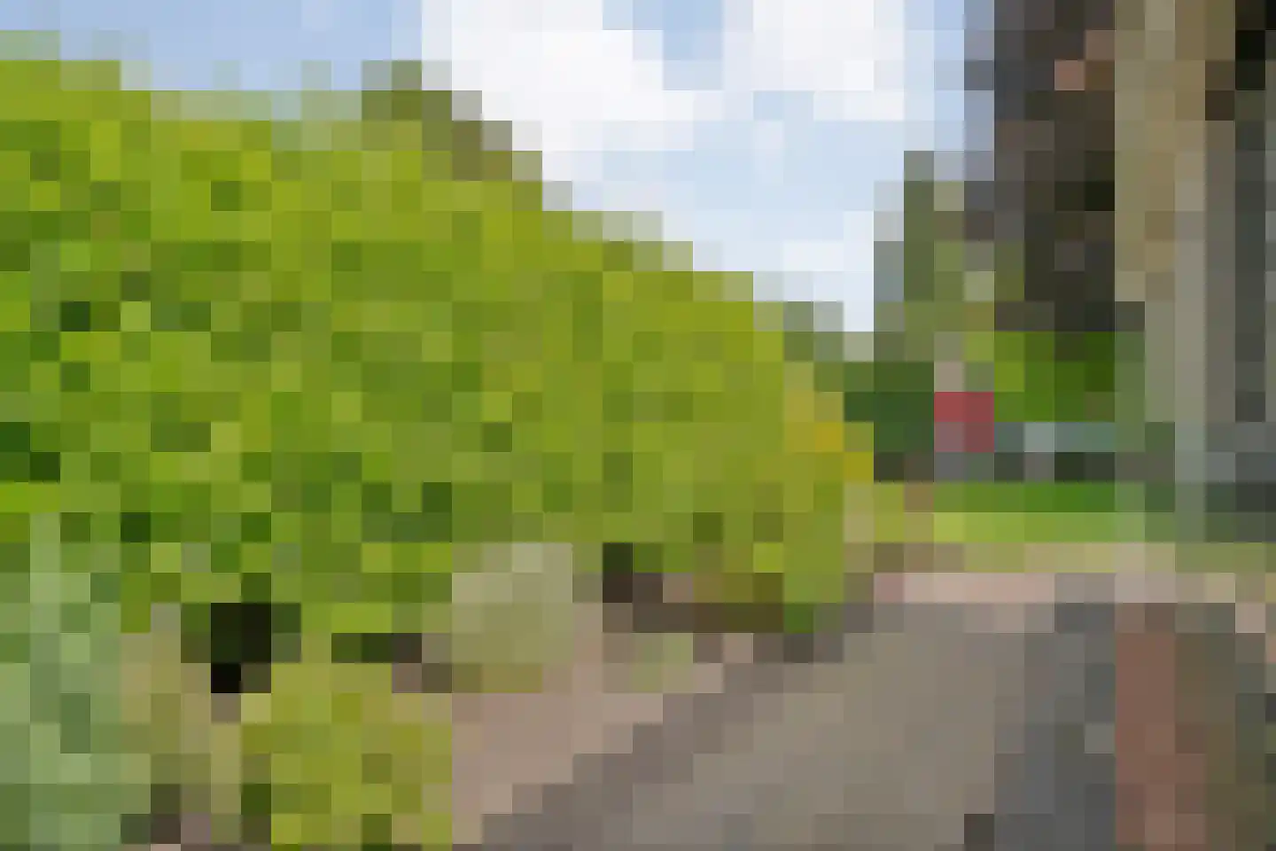 Hoofdweg 42 Smilde thumbnail 37