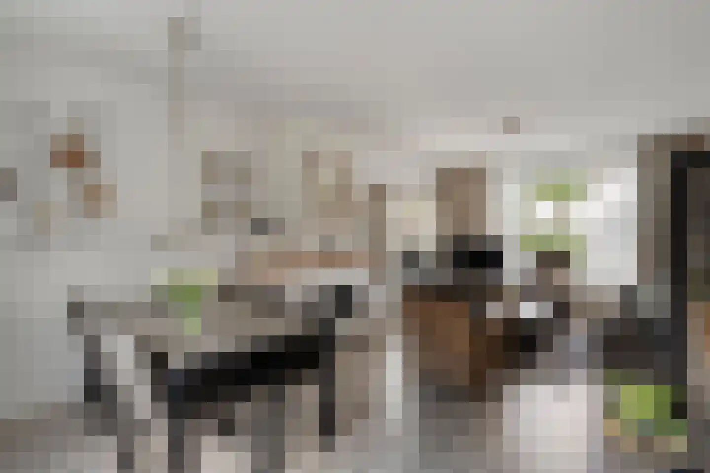 Hoofdweg 42 Smilde thumbnail 5