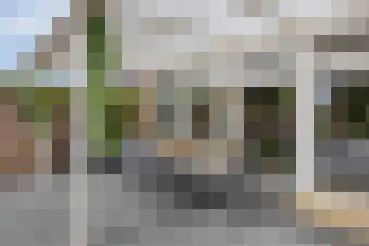 Hoofdweg 43 Smilde thumbnail 34