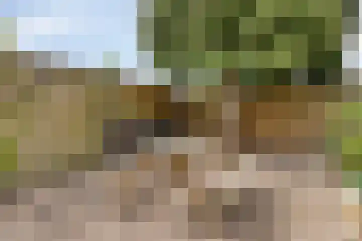 Hoofdweg 43 Smilde thumbnail 41