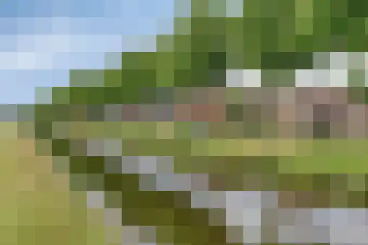 Hoofdweg 43 Smilde thumbnail 43
