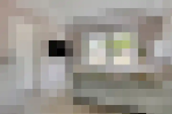 Hoofdweg 43 Smilde thumbnail 9