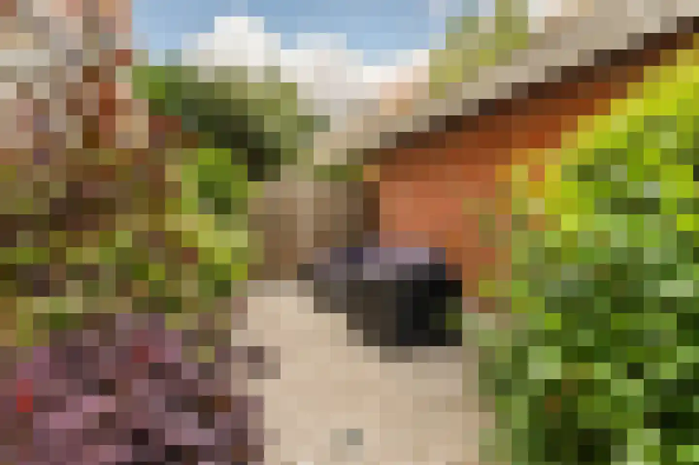 Hoofdweg 432 H Amsterdam thumbnail 31