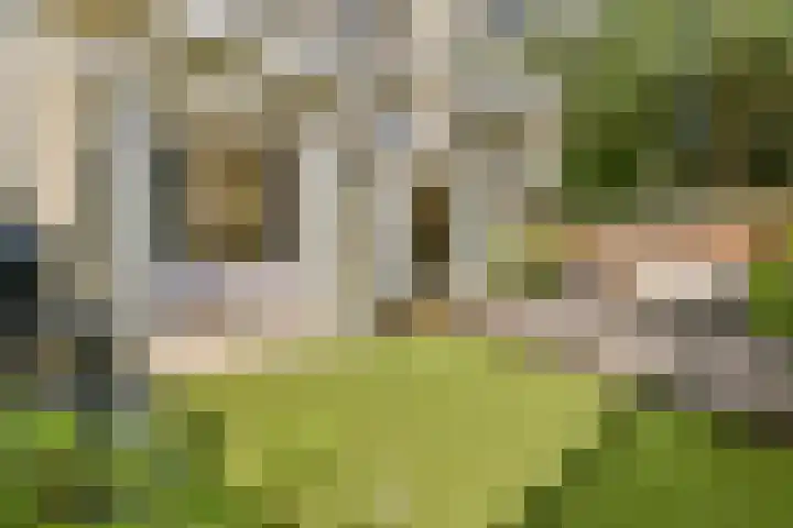 Hoofdweg 434 1 Amsterdam thumbnail 41