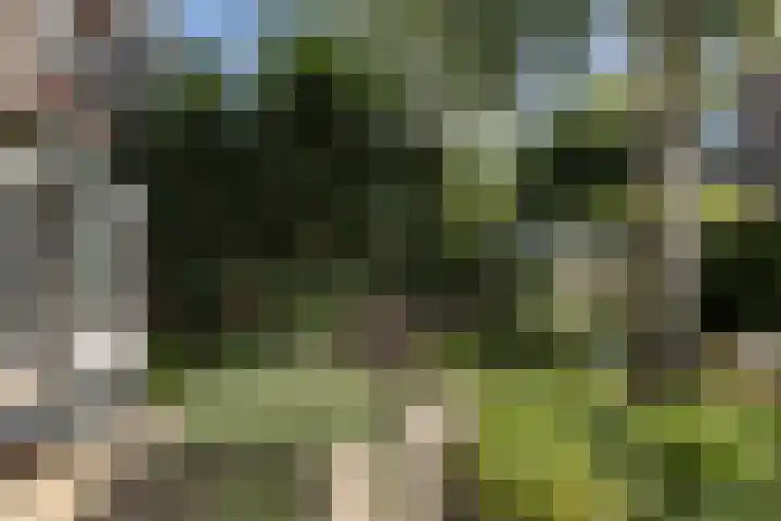 Hoofdweg 44 Amsterdam thumbnail 13