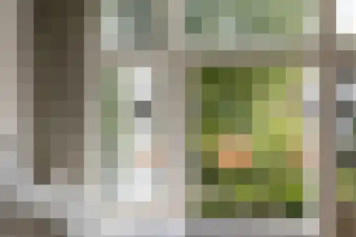 Hoofdweg 44 Amsterdam thumbnail 21