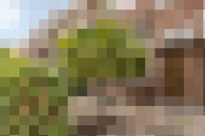 Hoofdweg 44 Amsterdam thumbnail 40