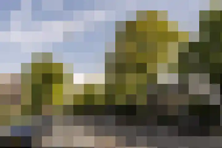 Hoofdweg 44 Amsterdam thumbnail 42
