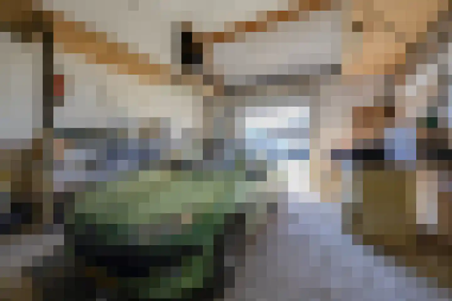Hoofdweg 440 Hoofddorp thumbnail 47