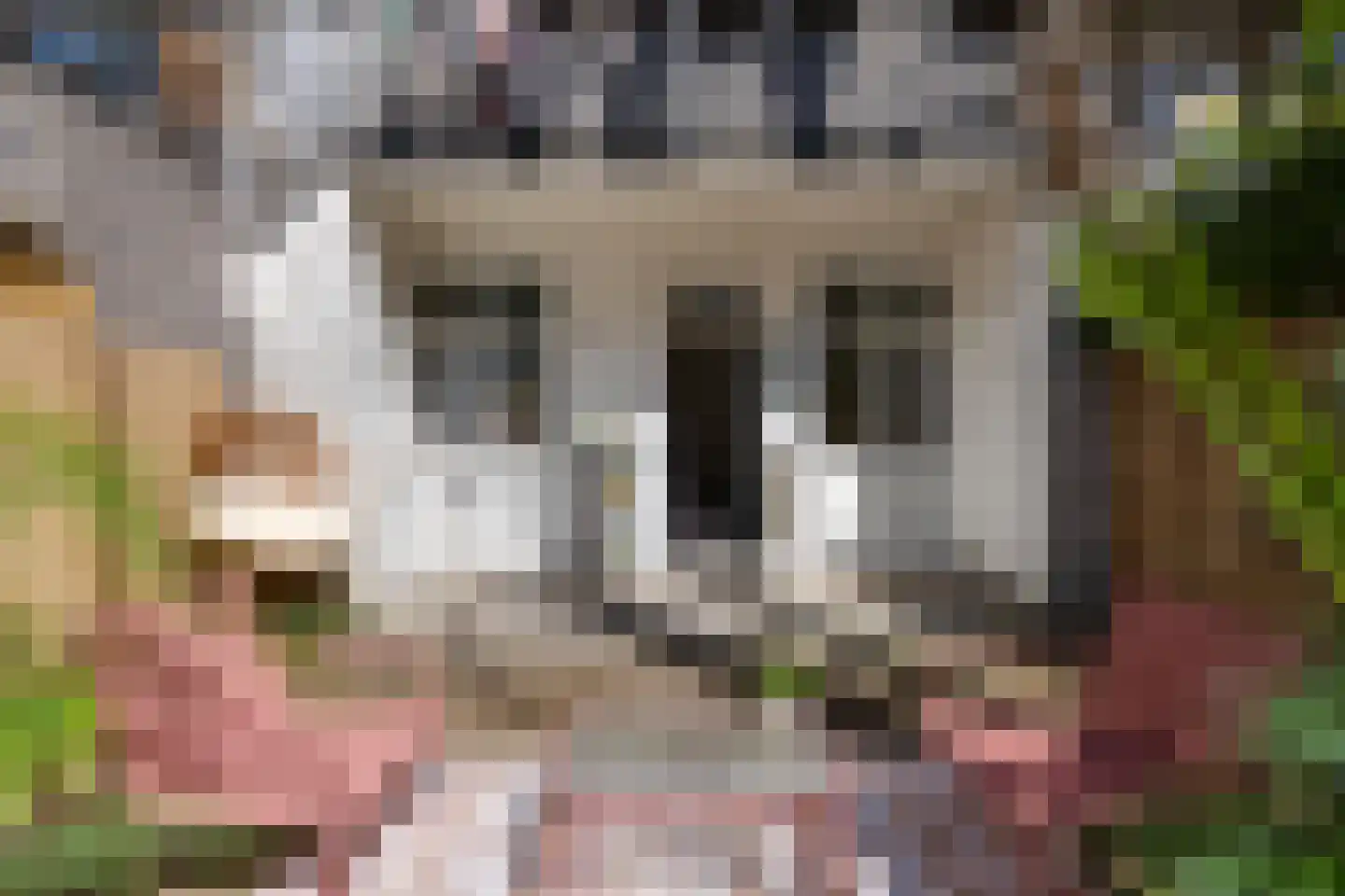 Hoofdweg 443 2 Amsterdam thumbnail 23