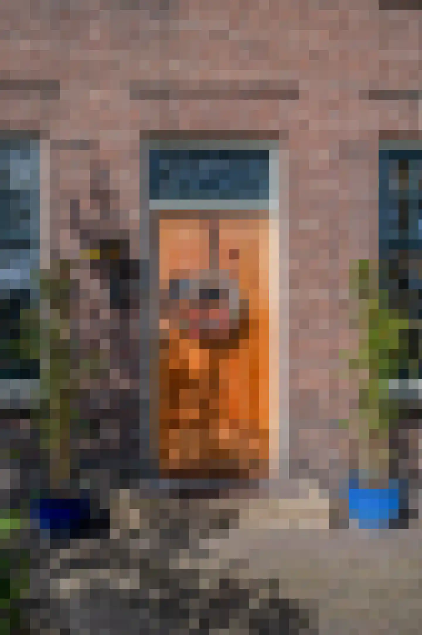 Hoofdweg 45 Bellingwolde thumbnail 13
