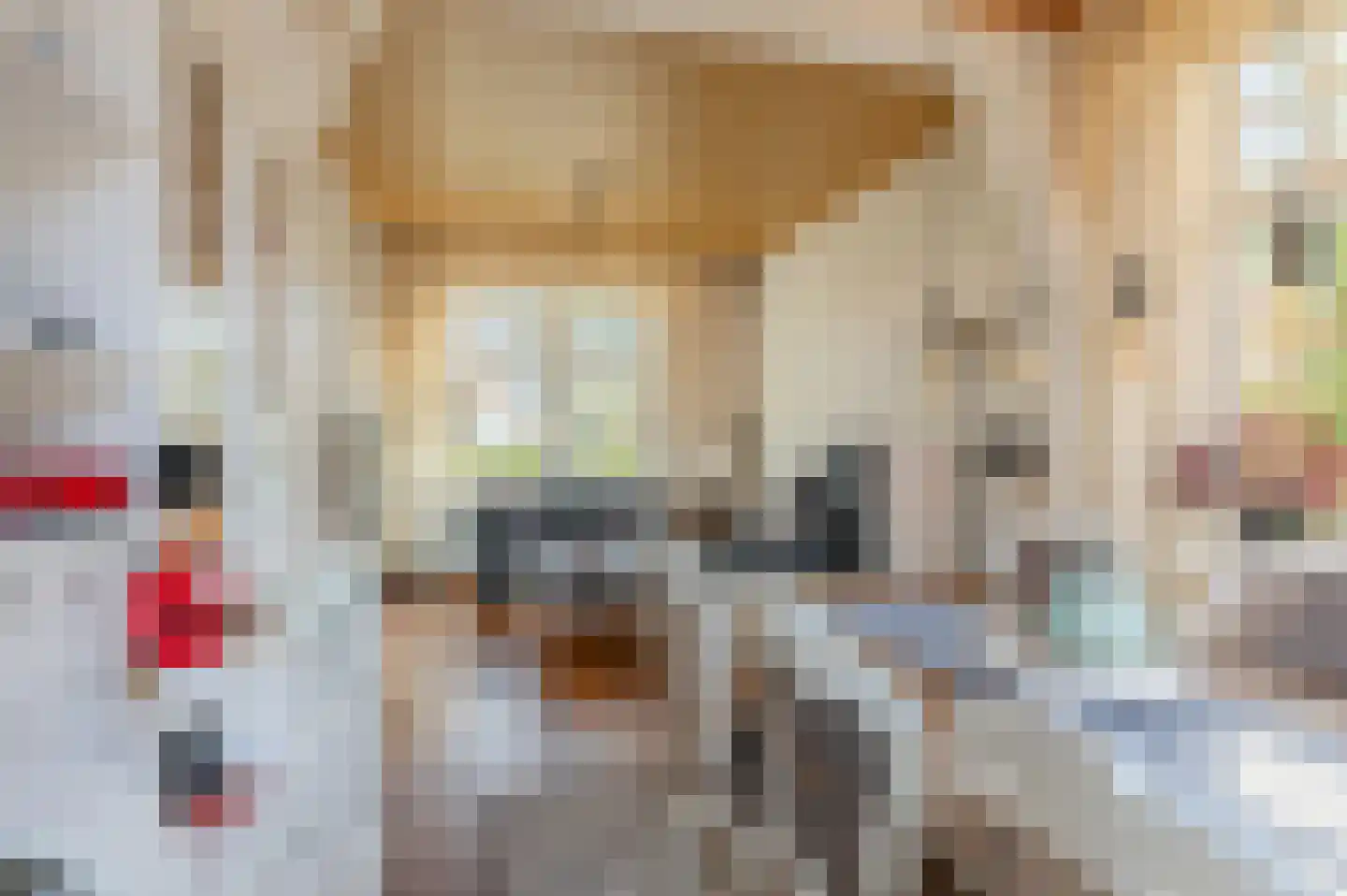 Hoofdweg 45 Bellingwolde thumbnail 19