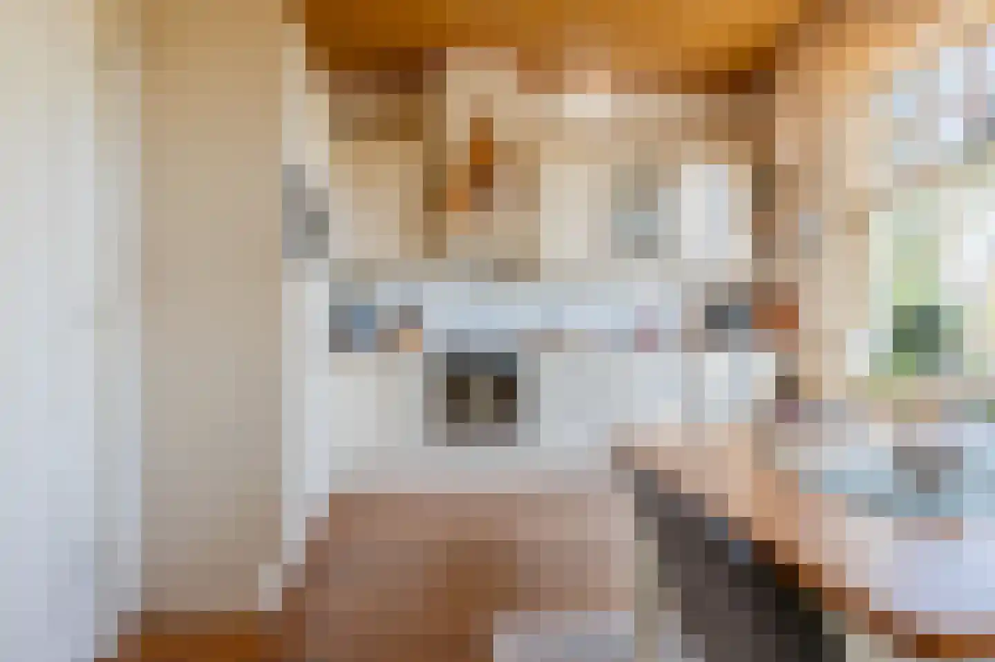 Hoofdweg 45 Bellingwolde thumbnail 20