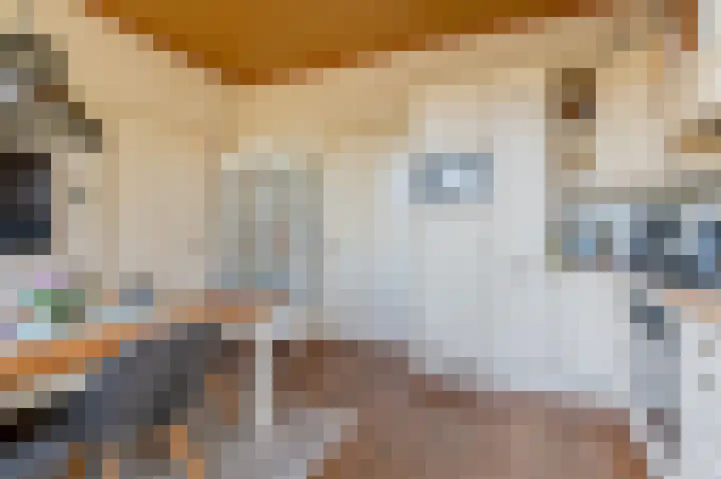 Hoofdweg 45 Bellingwolde thumbnail 23