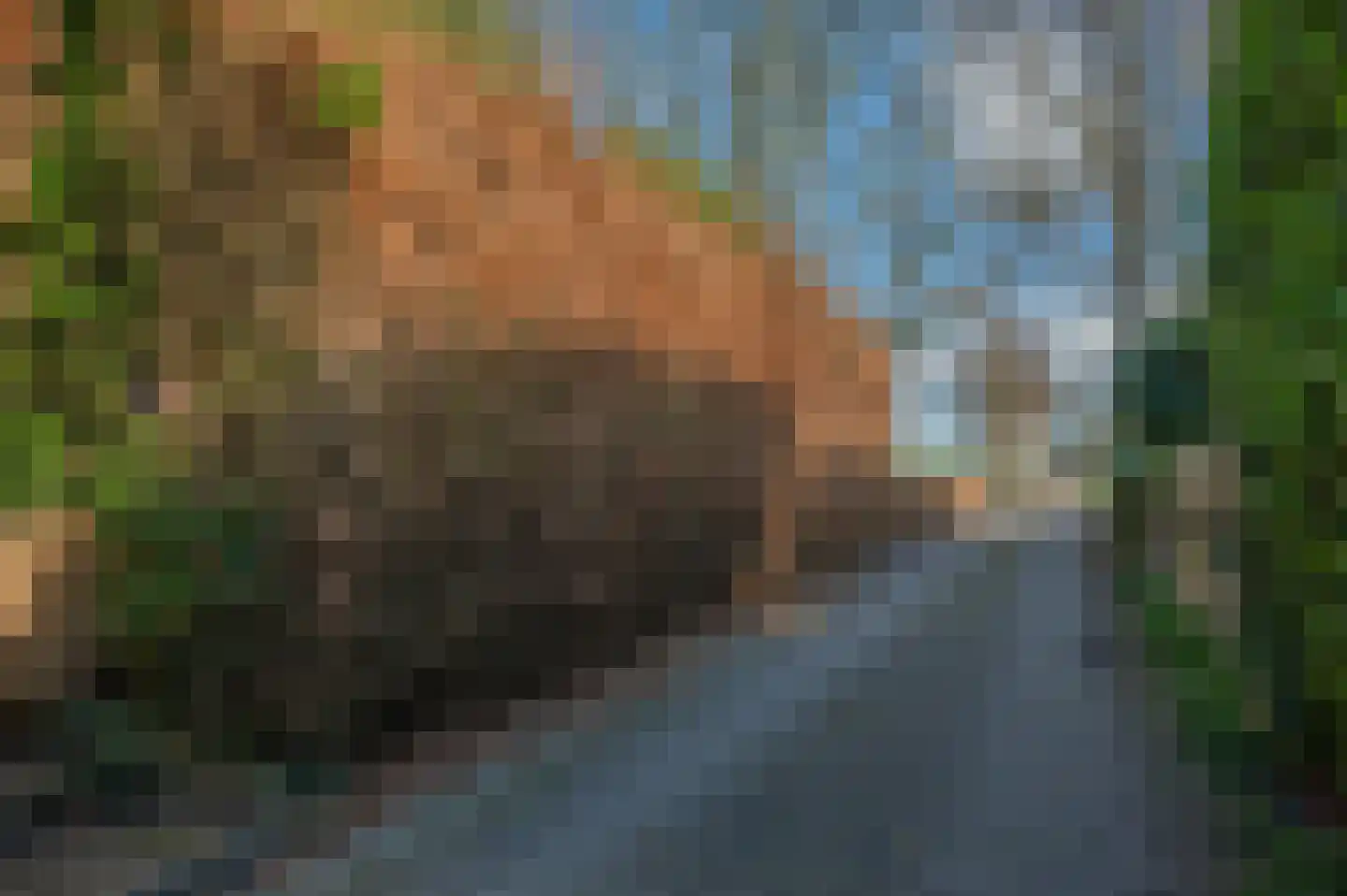 Hoofdweg 45 Bellingwolde thumbnail 61